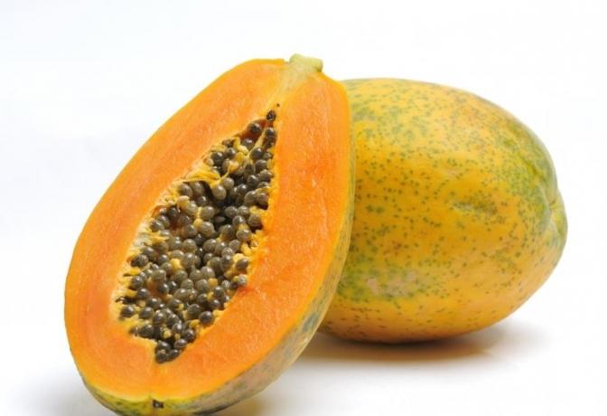 Fruit of papaya